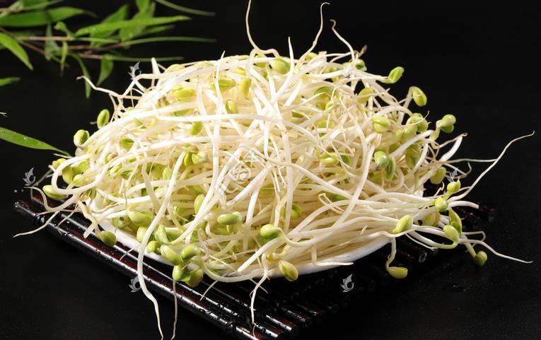 無(wú)公害綠色豆芽，怎么生產(chǎn)出來(lái)的？全套生產(chǎn)過(guò)程如此方便智能